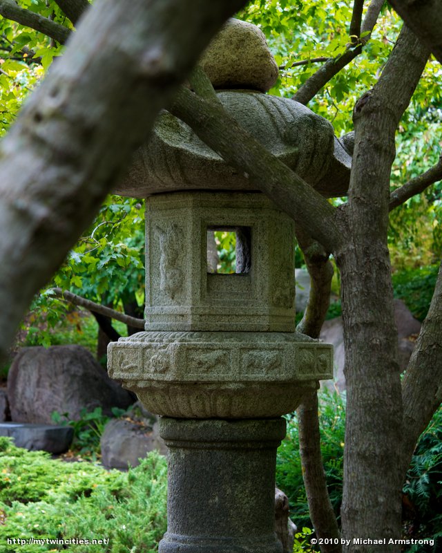 Lantern In the Wood #2