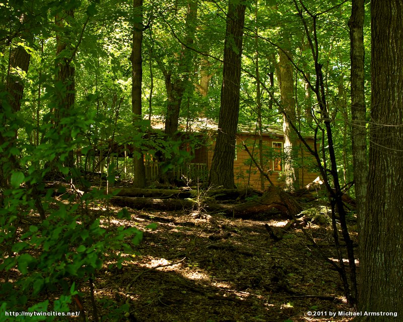 Cottage In the Wood