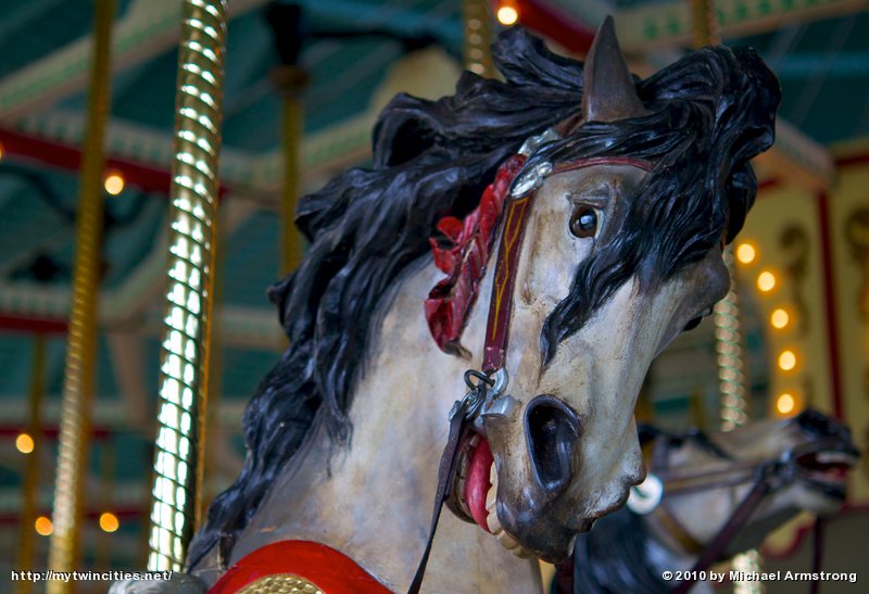 'Round Horsing