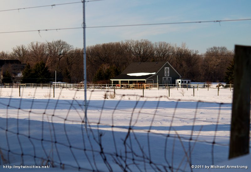 Fenced In